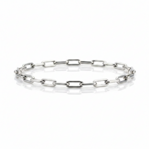 Pulseira Elo Cadeado Premium em Prata 925